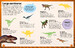 Sticker Encyclopedia Dinosaurs дополнительное фото 3.