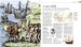 Journey: An Illustrated History of the World's Greatest Travels [Dorling Kindersley] дополнительное фото 2.