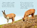Llamas дополнительное фото 1.