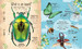 The Book of Brilliant Bugs дополнительное фото 4.