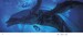 The Art of Avatar The Way of Water [Dorling Kindersley] дополнительное фото 3.