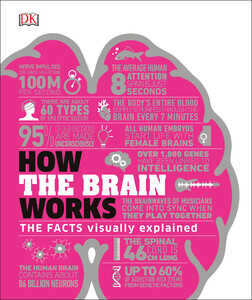 Книги для дорослих: How the Brain Works