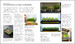 RHS Step-by-Step Veg Patch дополнительное фото 4.