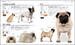 The Complete Dog Breed Book дополнительное фото 2.