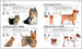 The Complete Dog Breed Book дополнительное фото 4.
