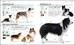 The Complete Dog Breed Book дополнительное фото 5.
