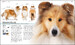 The Complete Dog Breed Book дополнительное фото 6.