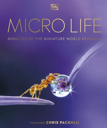 Наука, техніка і транспорт: Micro Life: Miracles of the Miniature World Revealed [Dorling Kindersley]
