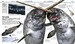 Knowledge Encyclopedia Ocean! [Dorling Kindersley] дополнительное фото 7.
