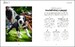 What's My Dog Thinking?: Understand Your Dog to Give Them a Happy Life  [Dorling Kindersley] дополнительное фото 2.