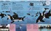Water Cycles  [Dorling Kindersley] дополнительное фото 6.
