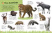 Ultimate Sticker Book Animals дополнительное фото 1.