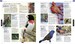 The Definitive Visual Guide: Bird [Dorling Kindersley] дополнительное фото 5.
