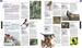 The Definitive Visual Guide: Bird [Dorling Kindersley] дополнительное фото 6.