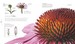 The Science of Plants [Dorling Kindersley] дополнительное фото 7.
