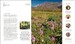 Outdoor Europe [Dorling Kindersley] дополнительное фото 6.