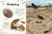 The Bedtime Book of Animals [Dorling Kindersley] дополнительное фото 1.