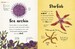 The Bedtime Book of Animals [Dorling Kindersley] дополнительное фото 4.