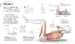 Science of HIIT [Dorling Kindersley] дополнительное фото 4.