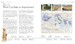 The Definitive Visual History: Ancient Rome [Dorling Kindersley] дополнительное фото 1.