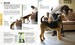 The Beginner's Dog Training Guide: How to Train a Superdog, Step by Step [Dorling Kindersley] дополнительное фото 2.