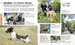 The Beginner's Dog Training Guide: How to Train a Superdog, Step by Step [Dorling Kindersley] дополнительное фото 3.