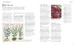 Encyclopedia Of Herbal Medicine дополнительное фото 3.