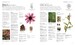 Encyclopedia Of Herbal Medicine дополнительное фото 4.