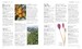 Encyclopedia Of Herbal Medicine дополнительное фото 6.