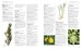 Encyclopedia Of Herbal Medicine дополнительное фото 1.