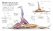 Science of Stretch [Dorling Kindersley] дополнительное фото 6.