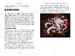 Magic The Gathering The Visual Guide [Dorling Kindersley] дополнительное фото 1.