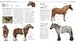 The Horse Encyclopedia дополнительное фото 3.