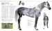 The Horse Encyclopedia дополнительное фото 4.