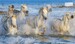 The Horse Encyclopedia дополнительное фото 5.