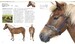 The Horse Encyclopedia дополнительное фото 1.