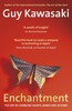 Enchantment: The Art of Changing Hearts, Minds and Actions
