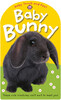 Baby Touch and Feel Baby Bunny