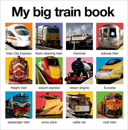 : My Big Train Book