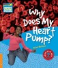 Why Does My Heart Pump? Level 6 [Cambridge Young Readers]