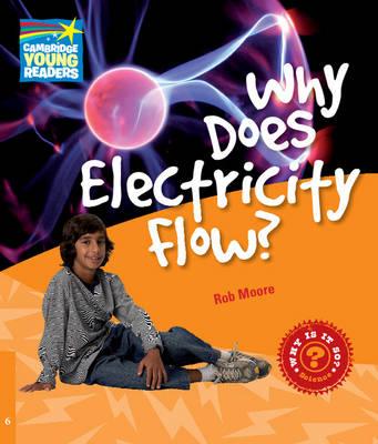 Земля, Космос і навколишній світ: Why Does Electricity Flow? Level 6 [Cambridge Young Readers]