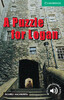 CER 3 Puzzle for Logan