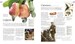The Food Book [Dorling Kindersley] дополнительное фото 1.