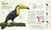 The Bird Book [Dorling Kindersley] дополнительное фото 2.