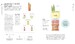 Rum A Tasting Course [Dorling Kindersley] дополнительное фото 5.
