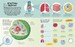 Brain Booster: Human Body [Dorling Kindersley] дополнительное фото 1.