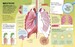 Brain Booster: Human Body [Dorling Kindersley] дополнительное фото 3.