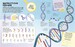 Brain Booster: Human Body [Dorling Kindersley] дополнительное фото 4.