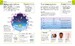 Super Simple Psychology [Dorling Kindersley] дополнительное фото 1.