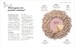 The Science of Beauty [Dorling Kindersley] дополнительное фото 6.